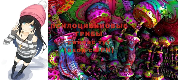 дмт Алзамай
