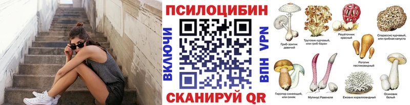 Галлюциногенные грибы Psilocybine cubensis  хочу   Ардатов 